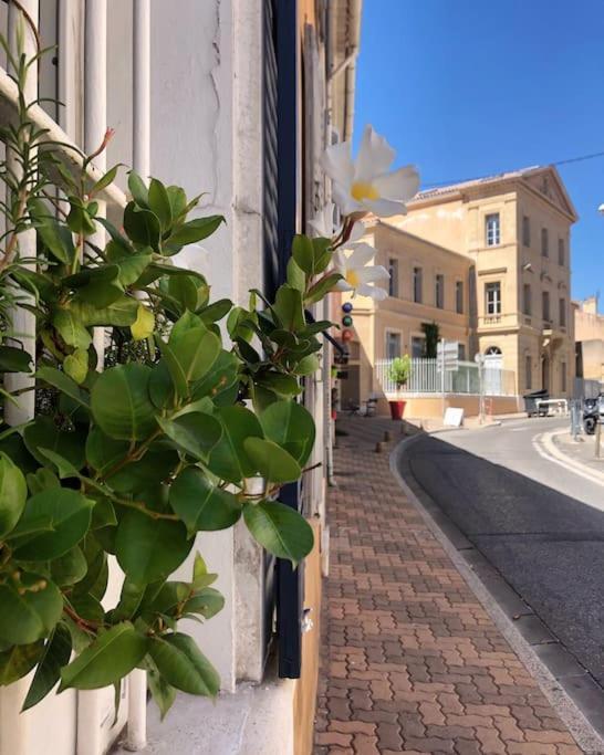 Studios Du Marin Sur Port De La Ciotat Ngoại thất bức ảnh